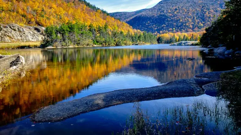 Autumn foliage reflecting on a calm lake in White Mountain National Forest