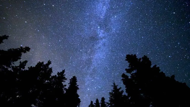 Starry night sky over Pictograph Cave State Park with silhouetted trees