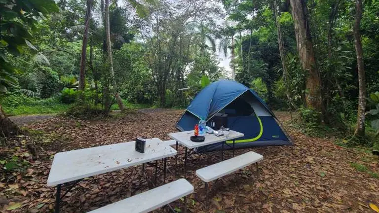 A camping site with a blue tent and picnic table in El Yunque National Forest