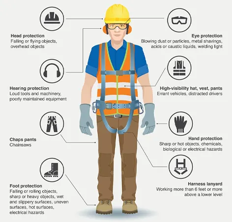Illustrated person in protective gear for tree felling, with labels indicating gear parts
