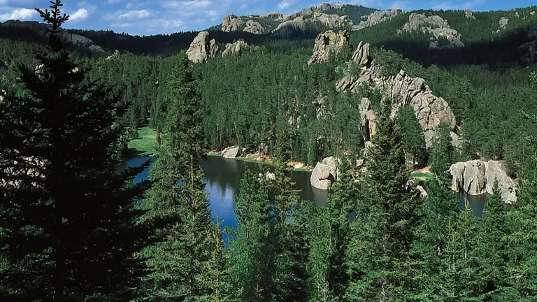 Scenic view of Custer State Park with lush greenery, a serene lake, and rugged rock formations