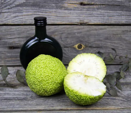 A whole and sliced Osage Orange beside a black bottle on a wooden surface