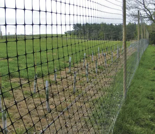 Green mesh fence installed along the edge of a grassy field