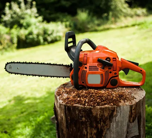 Orange chainsaw on a weathered tree stump in a grassy area