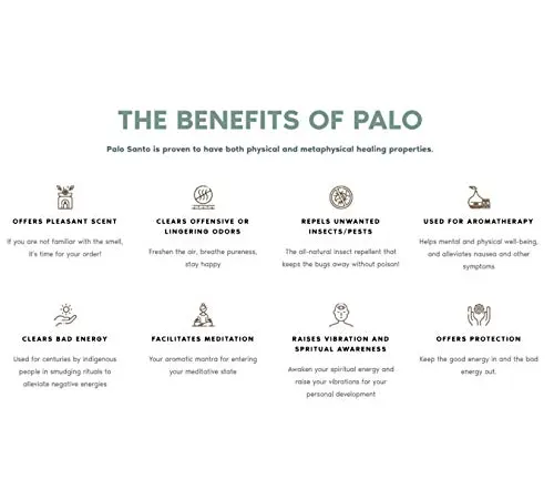 infographic on a white background detailing the benefits of the Palo Santo Tree for physical and metaphysical healing