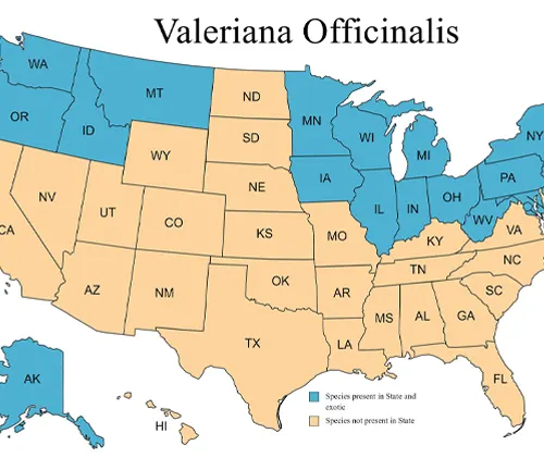 Map showing the distribution of Valeriana Officinalis in the United States