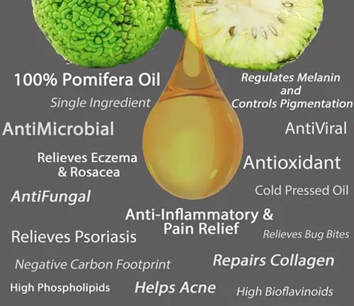 Illustration highlighting the benefits of 100% Pomifera Oil extracted from Osage Orange Tree, including skin relief and repair properties