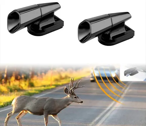 Axis deer detected by vehicle’s safety sensors