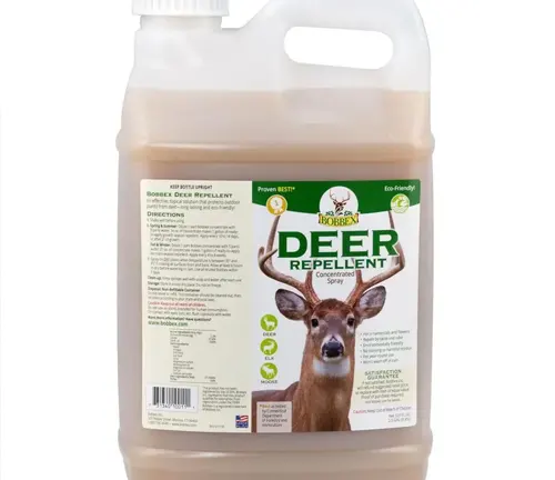 Plastic jug container of Deer Repellent with a handle on the left side
