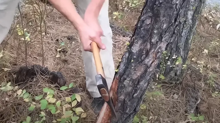 Person using a Gransfors Bruk Small Forest Axe to chop wood in a forest setting