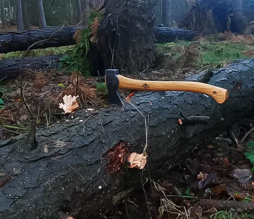 Gransfors Bruk Small Forest Axe resting on a chopped log in a misty wooded area