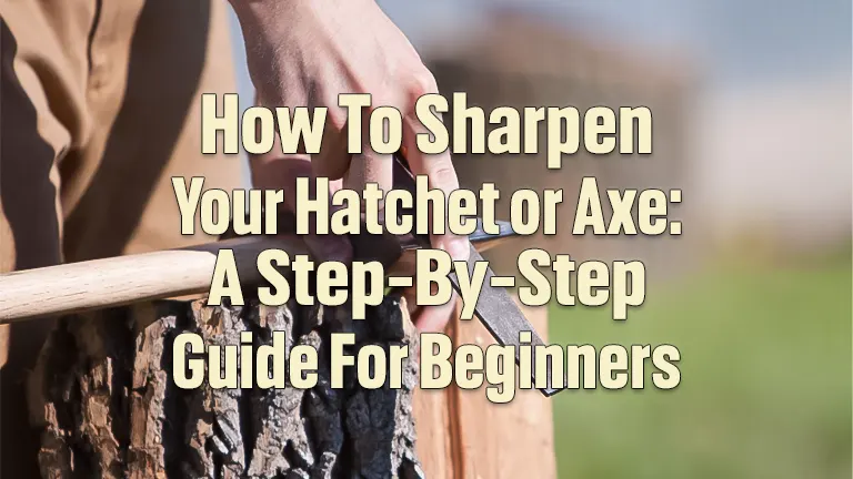 https://forestry.com/wp/wp-content/uploads/2023/12/How-to-Sharpen-Your-Hatchet-or-Axe-10.webp