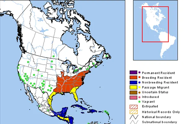 map showing the distribution of the Worm-eating Warbler bird across North America, with different colors indicating various statuses such as permanent resident, breeding resident, and more