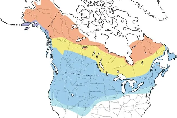 Map showing the range of the Northern Shrike bird in North America