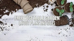 Free Vegetable Garden Layout Ideas Plans