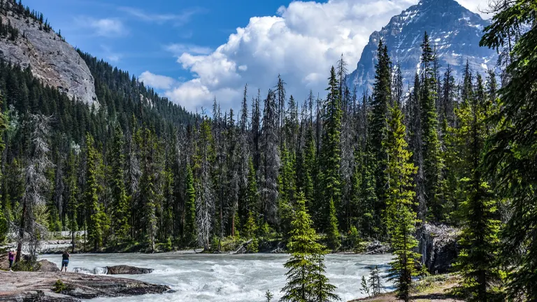 Yoho National Park