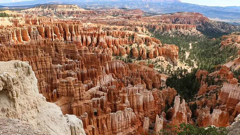 Dixie National Forest