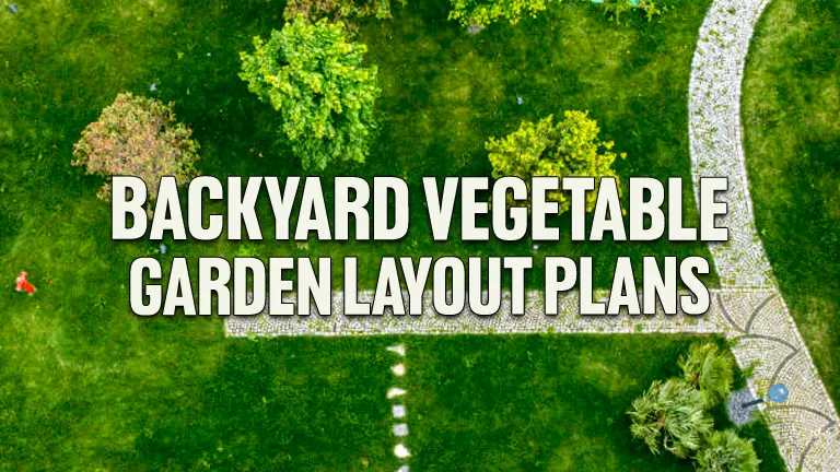 Backyard Vegetable Garden Layout Plans