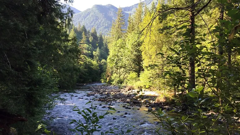 Olallie State Park