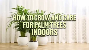 How to Grow and Care for Palm Trees Indoors