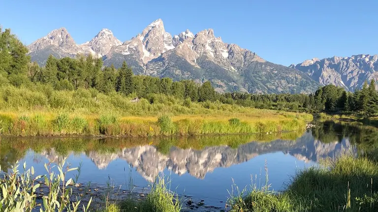 Bridger-Teton National Forest