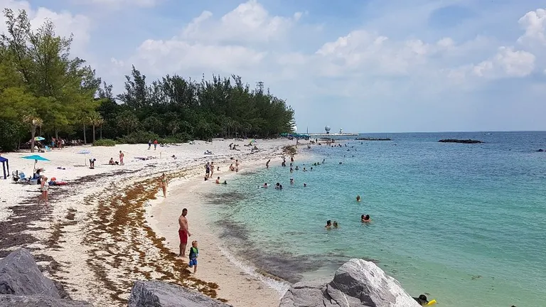 People enjoying a sunny day at the beach at Fort Zachary Taylor Historic State Park