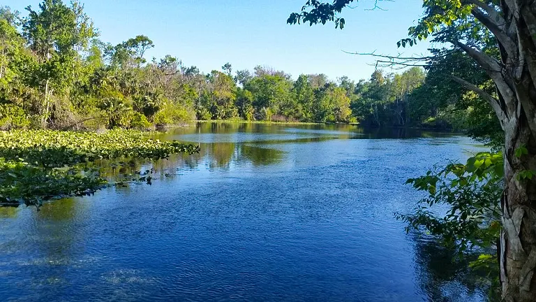 Wekiwa Springs State Park