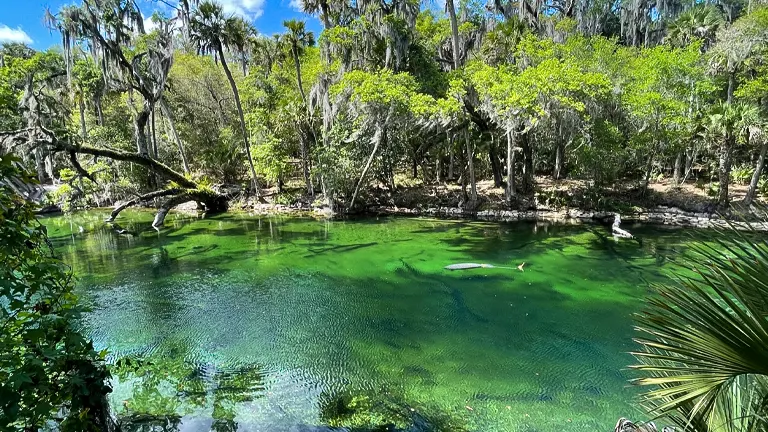 Blue Spring State Park