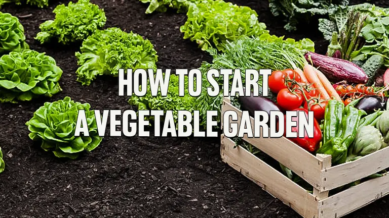 How to Start a Vegetable Garden - Forestry.com