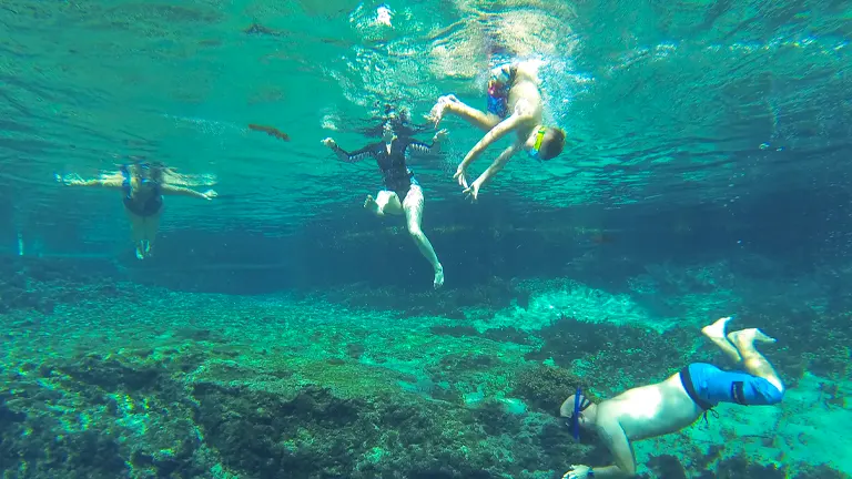 Swimming and Snorkeling