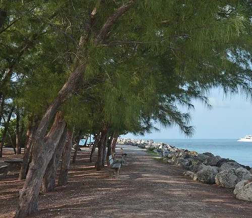 A serene pathway lined with benches and trees at Fort Zachary Taylor Historic State Park, overlooking the ocean