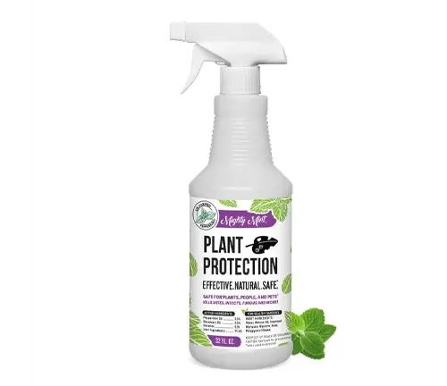 Spray bottle labeled ‘Plant Protection’ for natural pest control