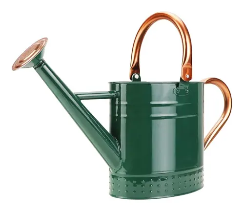 Megawodar 1 Gallon Metal Watering Can with Removable Spout