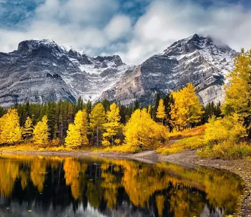Autumn trees reflecting on a calm lake with snowy mountains and cloudy sky