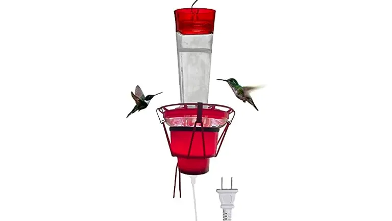 Hummingbird Feeder Heater Review