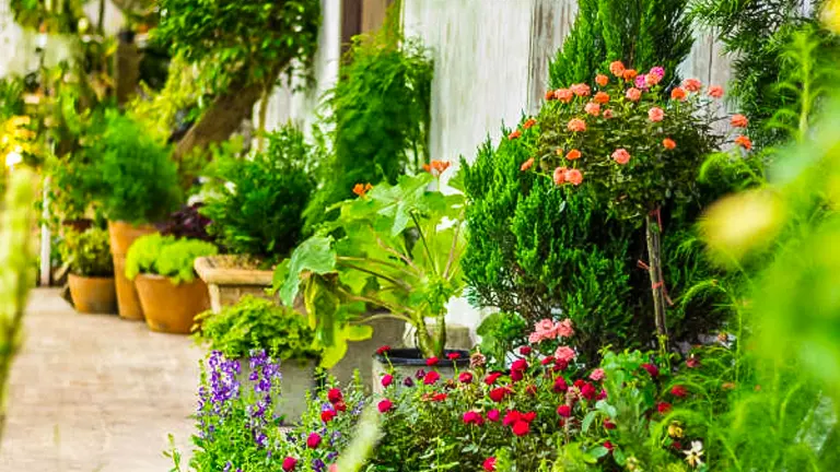 Choose the Right Plants for Your Backyard