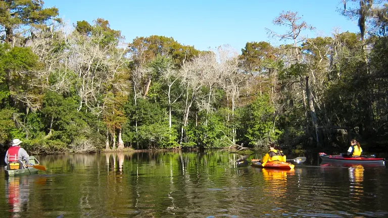 Water Recreation on Kisatchie Bayou and Lakes
