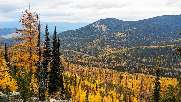 Colville National Forest