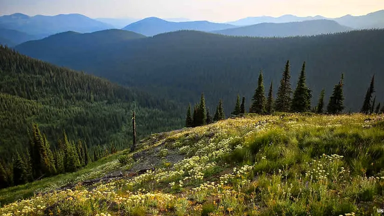 Salmo-Priest Wilderness