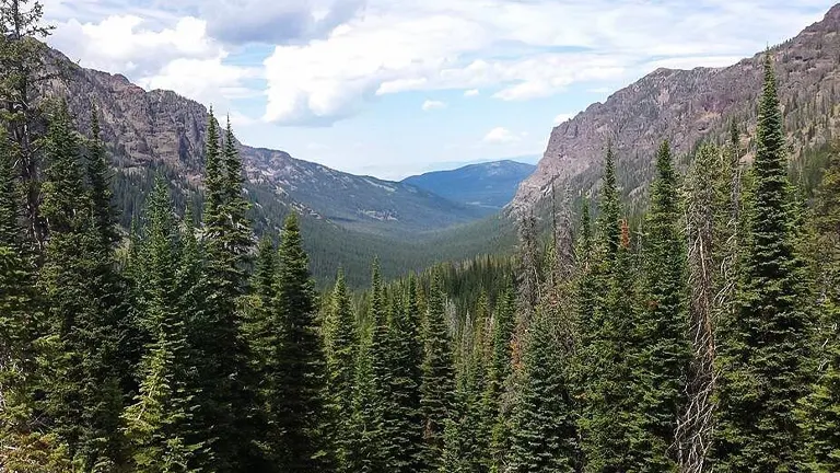 Gallatin National Forest