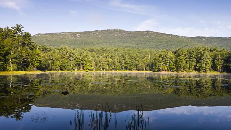 Monadnock State Park