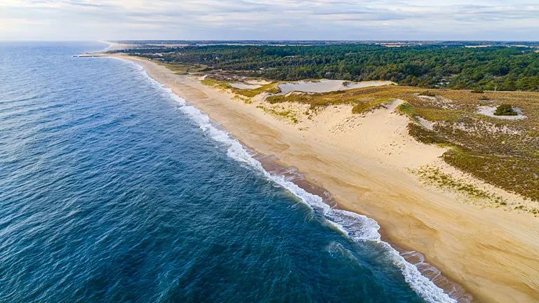 Cape Henlopen State Park