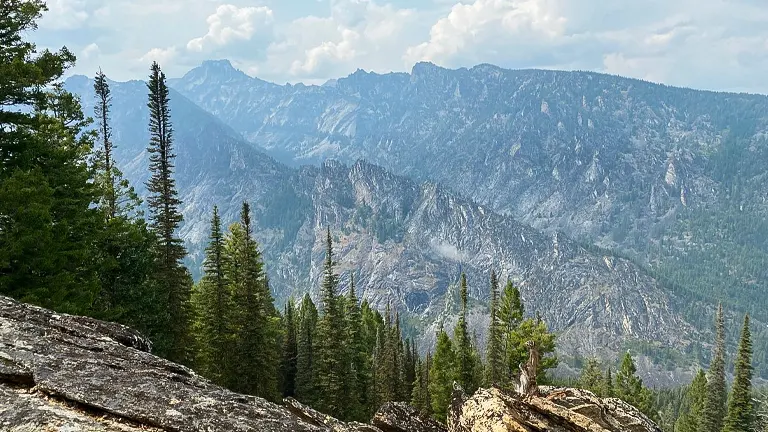 Bitterroot National Forest