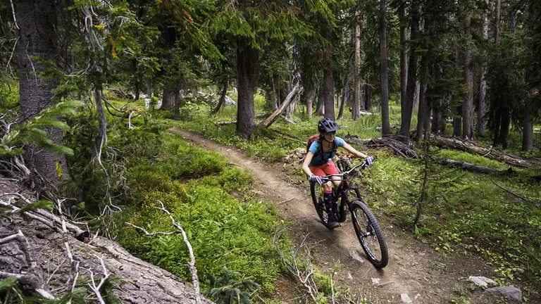 Mountain biker navigating a sunlit trail in a dense forest