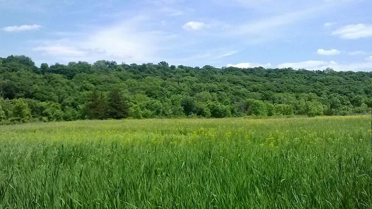 Flandrau State Park