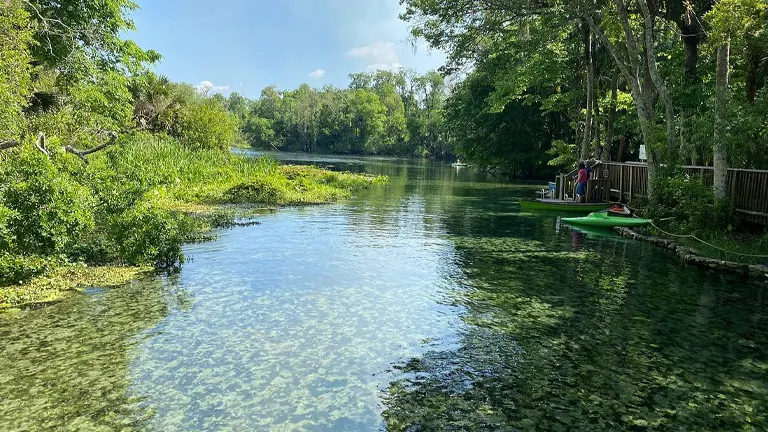Wekiwa Springs State Park: You Must Visit This Beautiful Natural Springs in  Florida 💎 