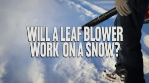 Will a Leaf Blower Work on a Snow?