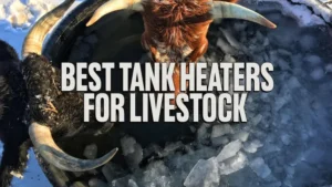 Best Tank Heaters for Livestock