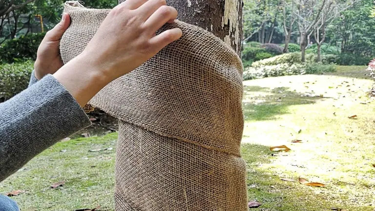 Medoore Natural Burlap Tree Protector Wraps