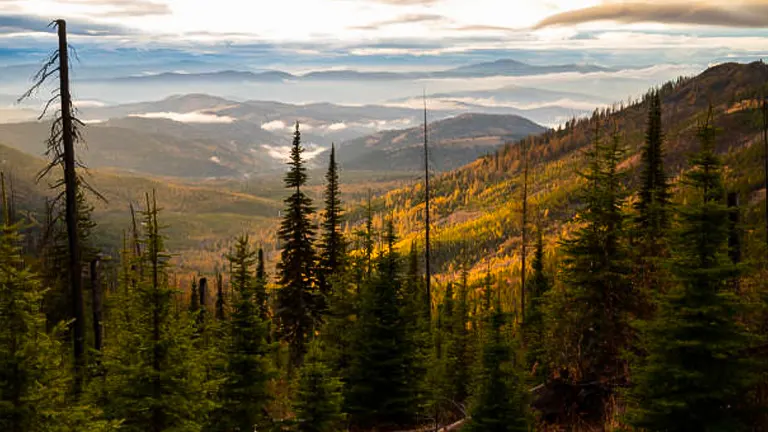 Colville National Forest